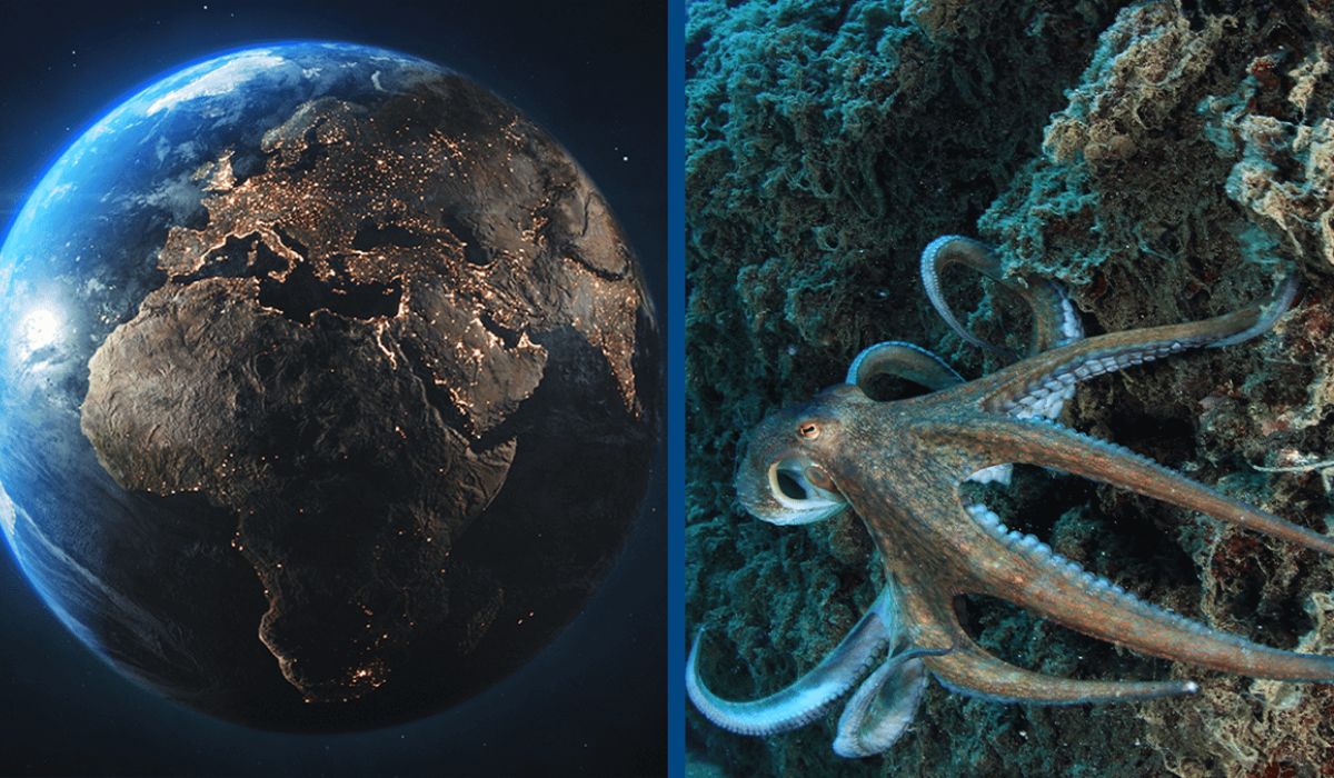 Actopus
