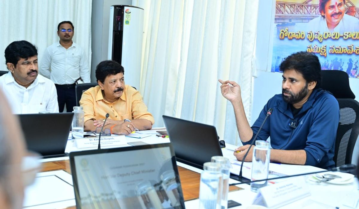 dcm pavan