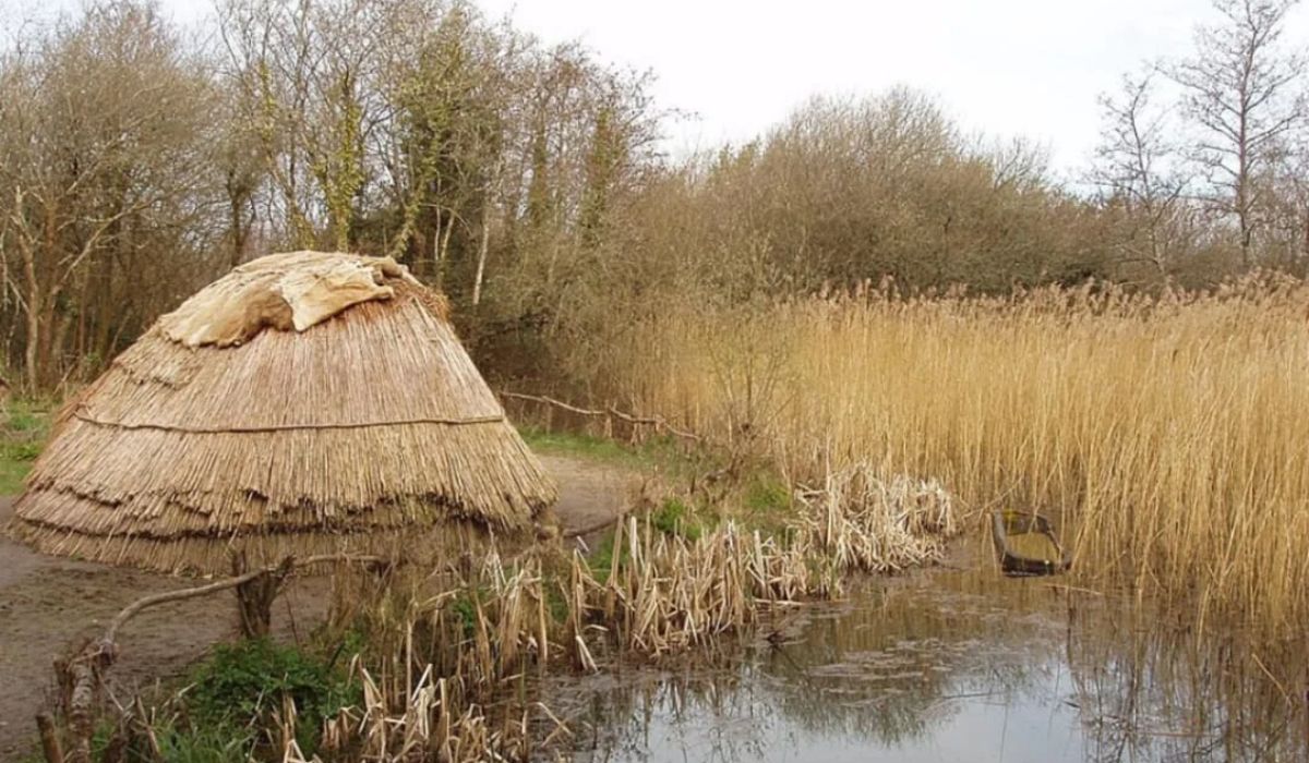 Hut