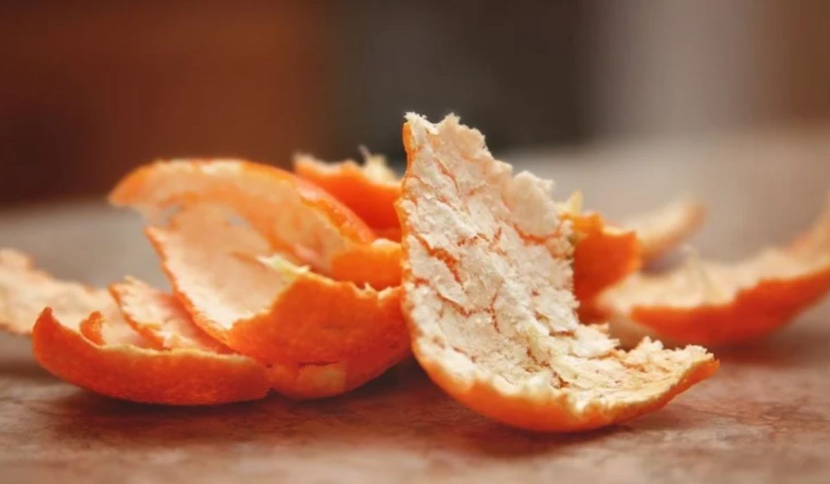 Orangei