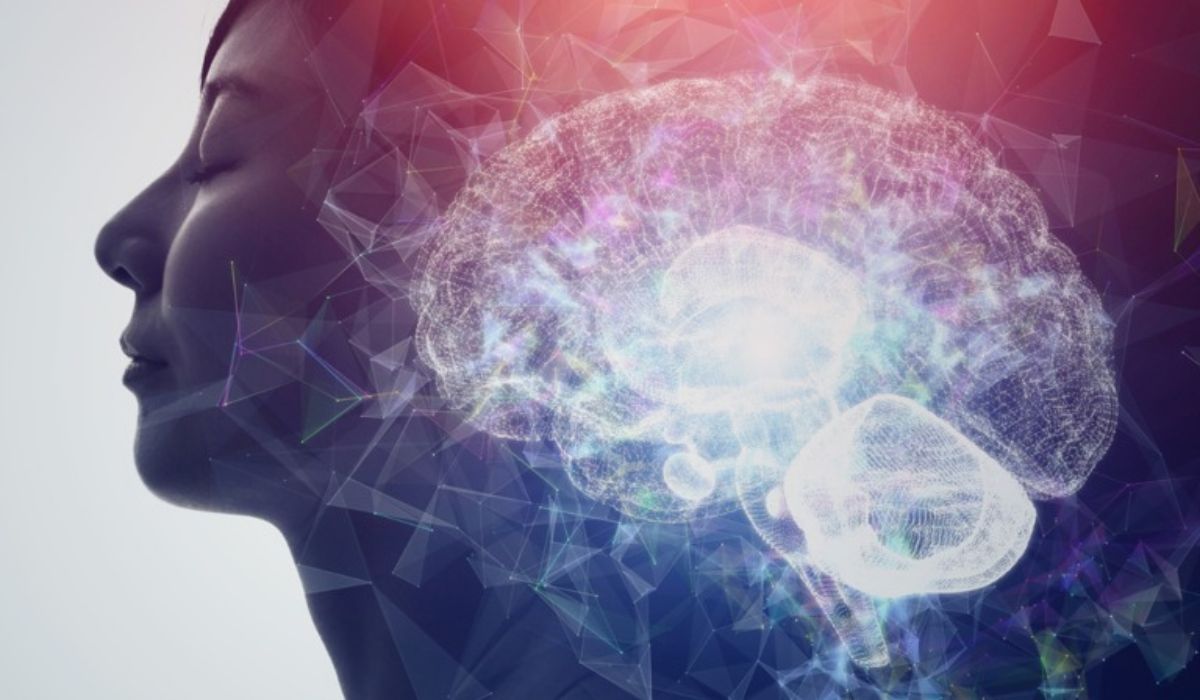 Brain